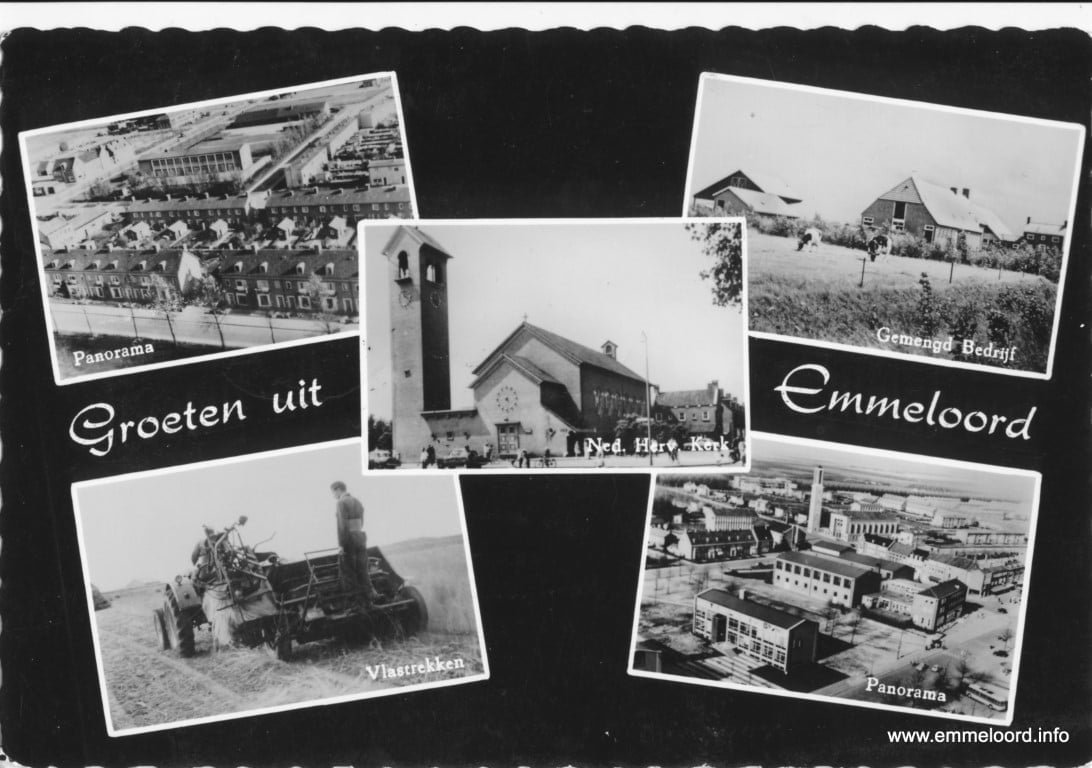 5-luik-met-vis-zw-4.jpg 5-luik-met-vis-zw-4.jpg